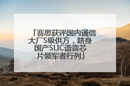 赛思获评国内通信大厂S级供方，跻身国产SLIC语音芯片领军者行列
