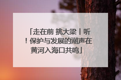 走在前 挑大梁丨听！保护与发展的潮声在黄河入海口共鸣