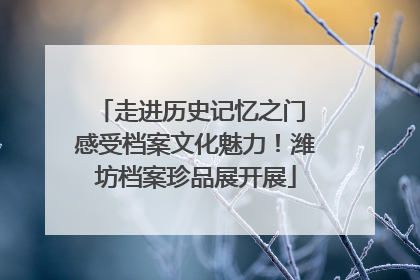 走进历史记忆之门 感受档案文化魅力！潍坊档案珍品展开展