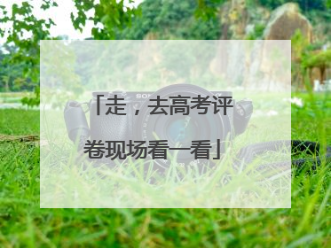 走，去高考评卷现场看一看