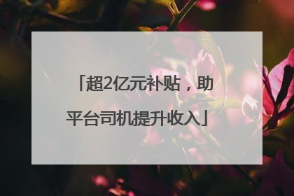 超2亿元补贴，助平台司机提升收入