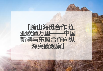 跨山海觅合作 连亚欧通万里——中国新疆与东盟合作向纵深突破观察