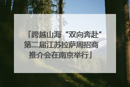 跨越山海“双向奔赴” 第二届江苏拉萨周招商推介会在南京举行