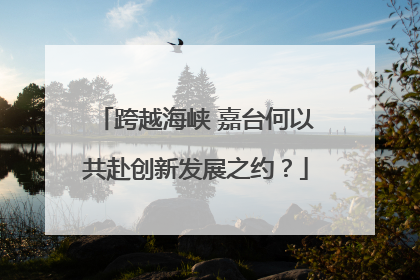跨越海峡 嘉台何以共赴创新发展之约？