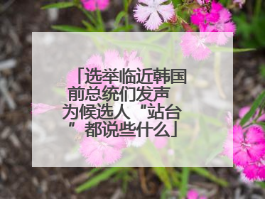 选举临近韩国前总统们发声 为候选人“站台”都说些什么