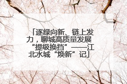 逐绿向新、链上发力，聊城高质量发展“提级换挡”——江北水城“焕新”记
