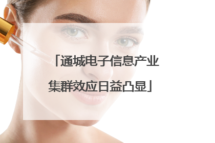 通城电子信息产业集群效应日益凸显