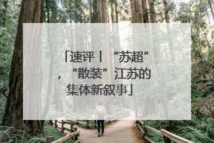 速评丨“苏超”，“散装”江苏的集体新叙事