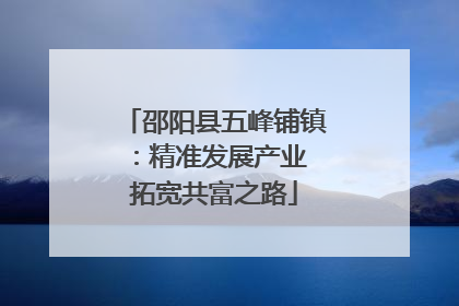 邵阳县五峰铺镇：精准发展产业 拓宽共富之路