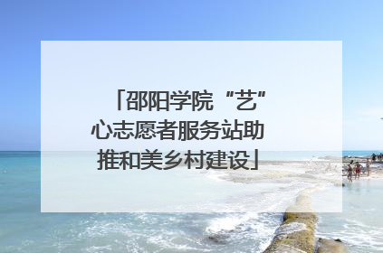 邵阳学院“艺”心志愿者服务站助推和美乡村建设