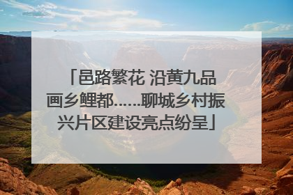 邑路繁花 沿黄九品 画乡鲤都……聊城乡村振兴片区建设亮点纷呈