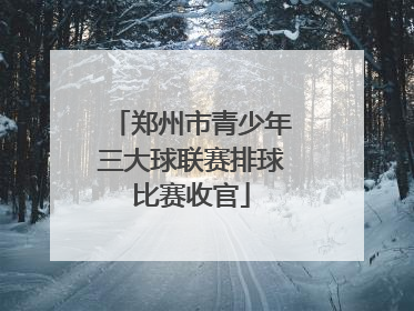 郑州市青少年三大球联赛排球比赛收官