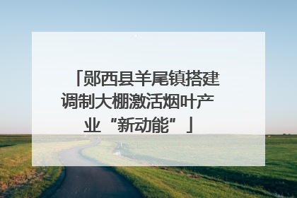 郧西县羊尾镇搭建调制大棚激活烟叶产业“新动能”