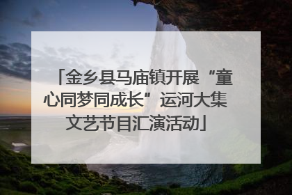 金乡县马庙镇开展“童心同梦同成长”运河大集文艺节目汇演活动