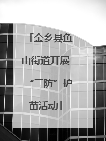 金乡县鱼山街道开展“三防”护苗活动