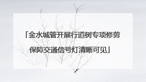 金水城管开展行道树专项修剪 保障交通信号灯清晰可见