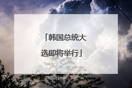 韩国总统大选即将举行