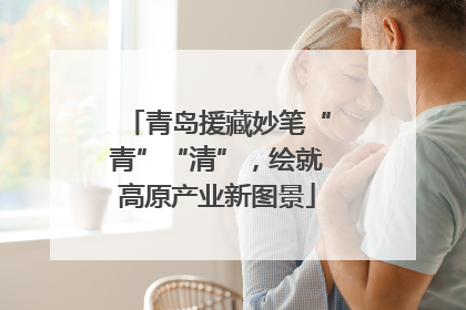 青岛援藏妙笔“青”“清”，绘就高原产业新图景