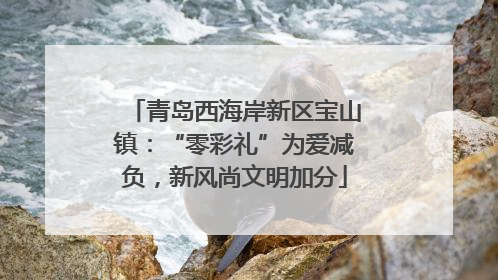 青岛西海岸新区宝山镇：“零彩礼”为爱减负，新风尚文明加分