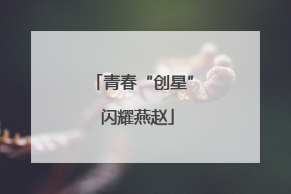 青春“创星” 闪耀燕赵