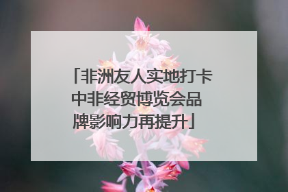 非洲友人实地打卡 中非经贸博览会品牌影响力再提升