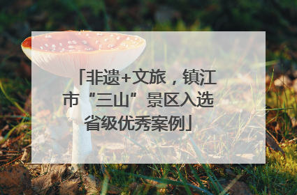 非遗+文旅，镇江市“三山”景区入选省级优秀案例