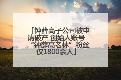 钟薛高子公司被申请破产 创始人账号“钟薛高老林”粉丝仅1800余人