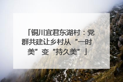 铜川宜君东湖村：党群共建让乡村从“一时美”变“持久美”