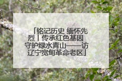 铭记历史 缅怀先烈丨传承红色基因 守护绿水青山——访辽宁宽甸革命老区