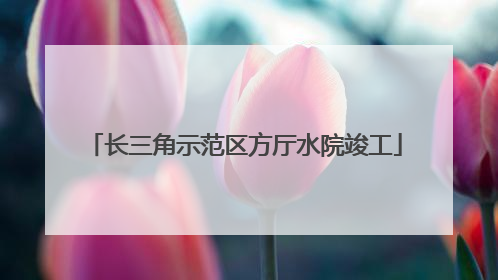 长三角示范区方厅水院竣工