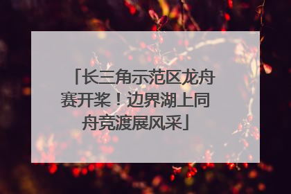长三角示范区龙舟赛开桨！边界湖上同舟竞渡展风采