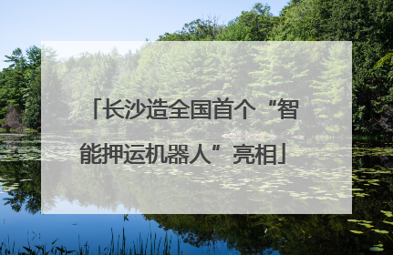 长沙造全国首个“智能押运机器人”亮相