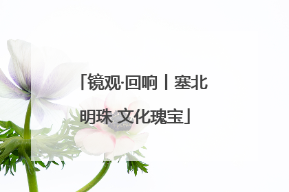 镜观·回响丨塞北明珠 文化瑰宝