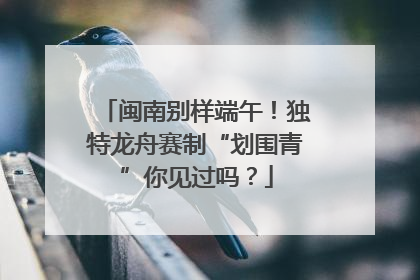 闽南别样端午！独特龙舟赛制“划围青”你见过吗？