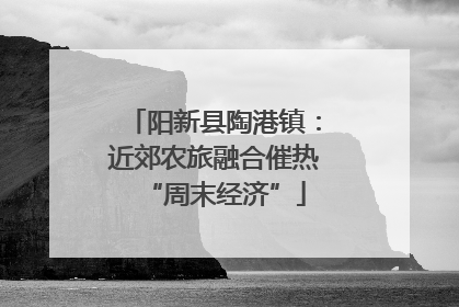 阳新县陶港镇：近郊农旅融合催热“周末经济”