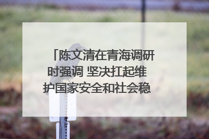 陈文清在青海调研时强调 坚决扛起维护国家安全和社会稳定职责使命 为谱写中国式现代化青海篇章贡献政法力量