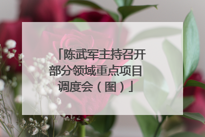 陈武军主持召开部分领域重点项目调度会（图）