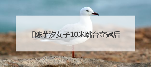 陈芋汐女子10米跳台夺冠后，现场看台下起“娃娃雨”