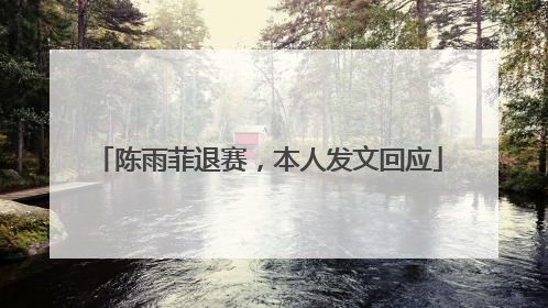 陈雨菲退赛，本人发文回应