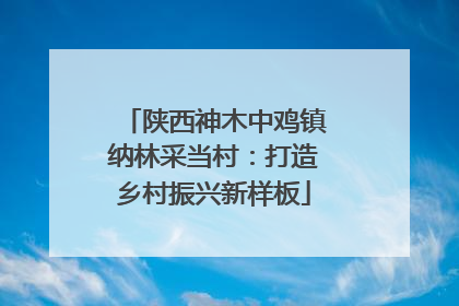 陕西神木中鸡镇纳林采当村：打造乡村振兴新样板