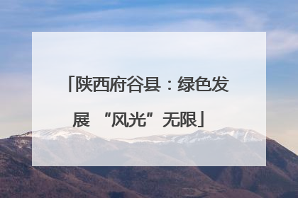 陕西府谷县：绿色发展 “风光”无限