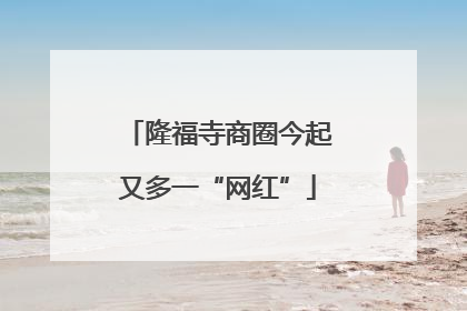 隆福寺商圈今起又多一“网红”