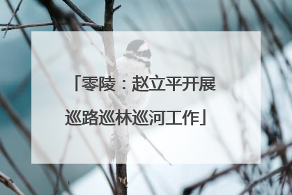 零陵：赵立平开展巡路巡林巡河工作