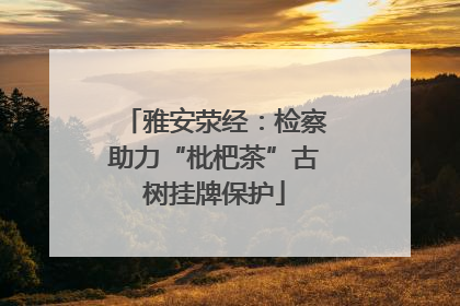 雅安荥经：检察助力“枇杷茶”古树挂牌保护