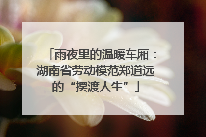 雨夜里的温暖车厢：湖南省劳动模范郑道远的“摆渡人生”