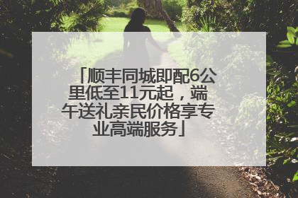 顺丰同城即配6公里低至11元起，端午送礼亲民价格享专业高端服务