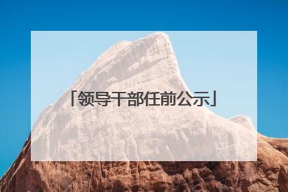 领导干部任前公示