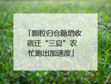 颗粒归仓稳增收 宿迁“三夏”农忙跑出加速度