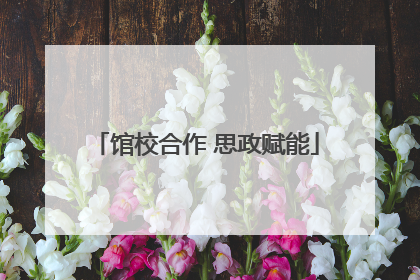 馆校合作 思政赋能
