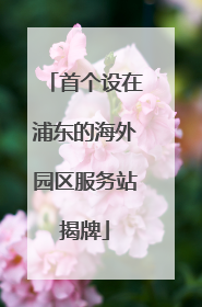 首个设在浦东的海外园区服务站揭牌